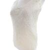 Molly-jo Rozmiar One size (36-38) Kolor Perłowy Okrągły dekolt Bluzka Bezrękawnik