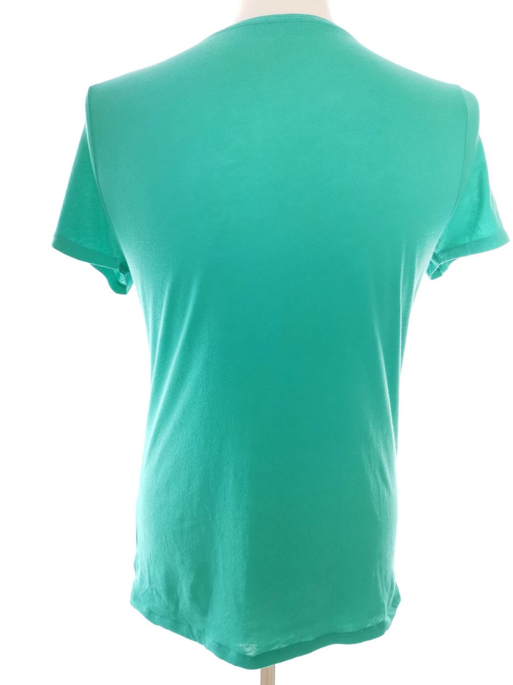 IMG_20210315_141743.jpg American Eagle Rozmiar L Kolor Zielony Męski T-Shirt Krótki rękaw Materiał Bawełna