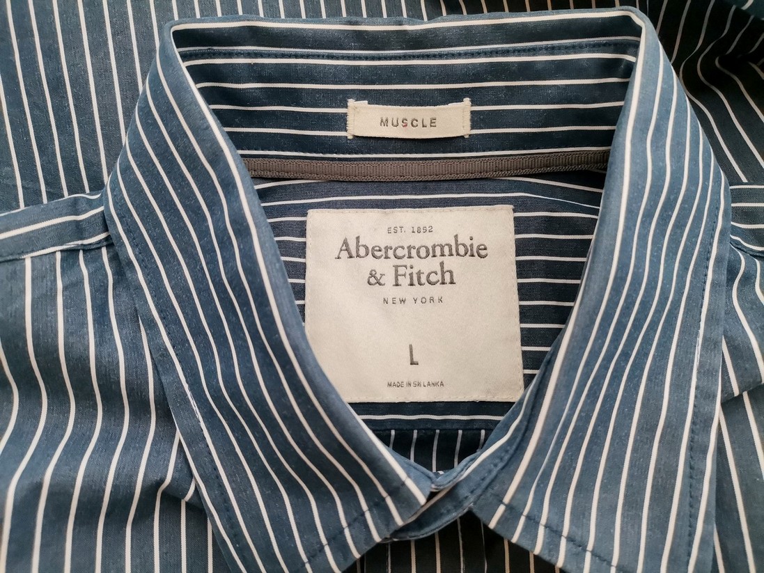 IMG_20220103_133157.jpg ABERCROMBIE & FITCH Rozmiar L Kolor Niebieski Pasy Kołnierz Męska Koszula Casual Długi rękaw Materiał Bawełna 100%