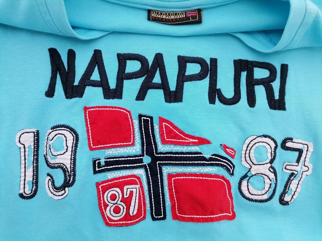 IMG_20220223_132339.jpg NAPAPIJRI Rozmiar L Kolor Niebieski Męski T-Shirt Krótki rękaw Materiał Bawełna 100%