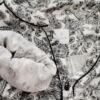 Culture Rozmiar XL Kolor Czarny Paisley Split Crew Neck Bluzka Zapinana Długi rękaw Materiał Wiskoza 100%