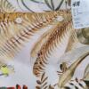 H&m Rozmiar M Kolor Kremowy Kołnierz Koszula Zapinana Bluzka Długi rękaw